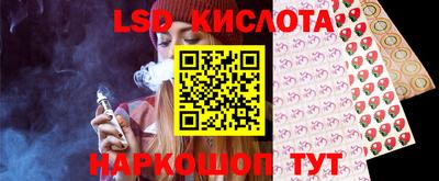 гашик Кулебаки