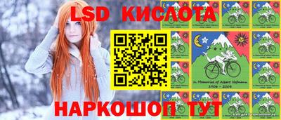 гашик Кулебаки