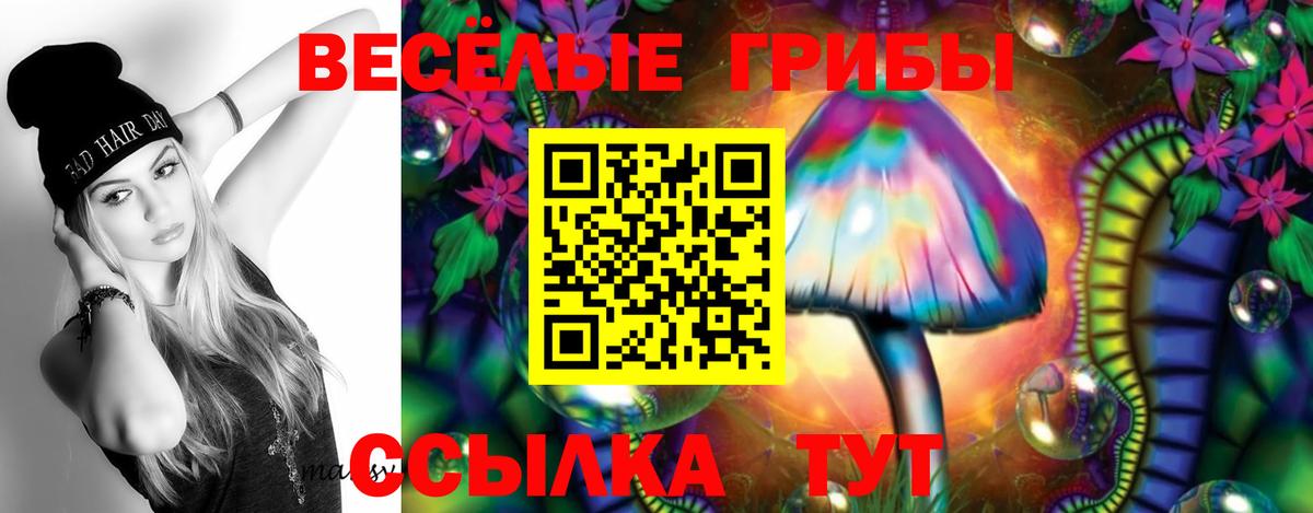 Галлюциногенные грибы GOLDEN TEACHER Жуковский