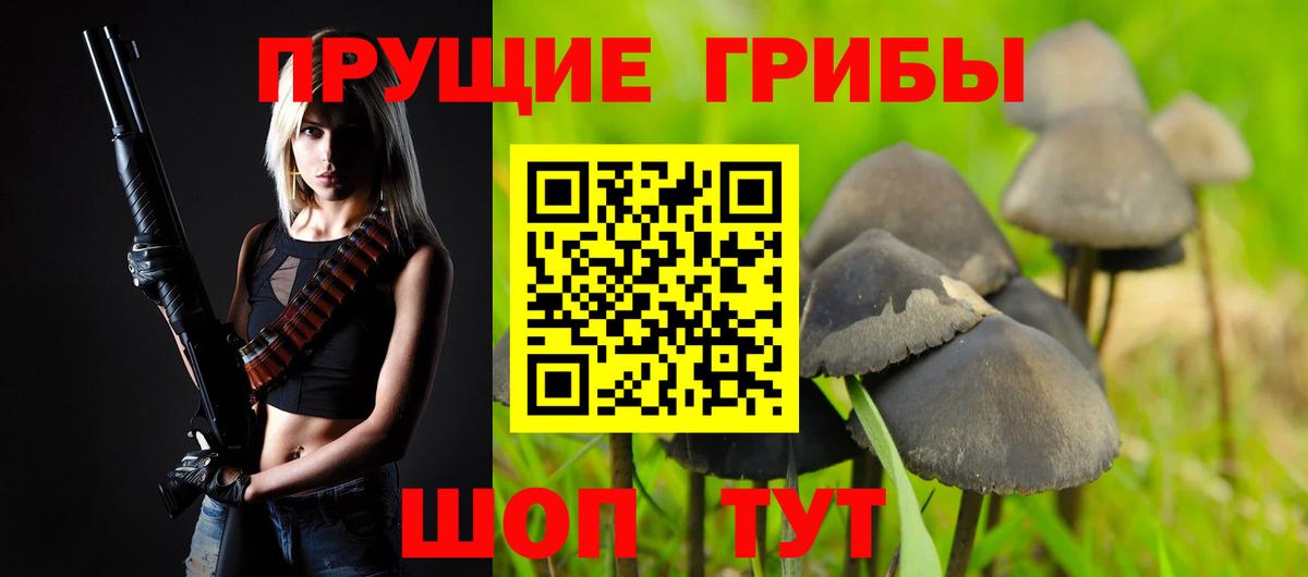 Псилоцибиновые грибы GOLDEN TEACHER  Вход с VPN  Жуковский 